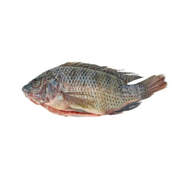 Pescado Entero Mojarra por kilo