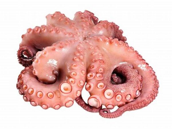 Pulpo Congelado 1-2 por kilo