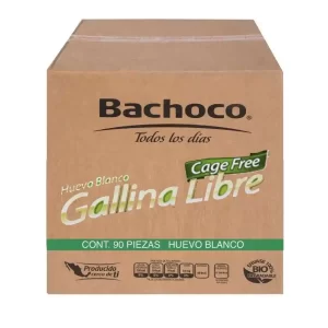 90 huevos gallina libre