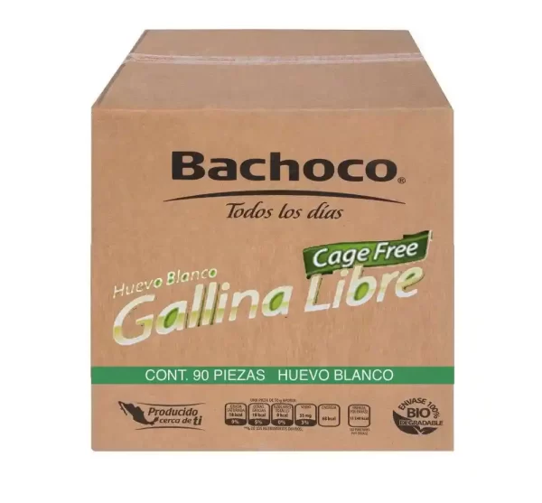 90 huevos gallina libre